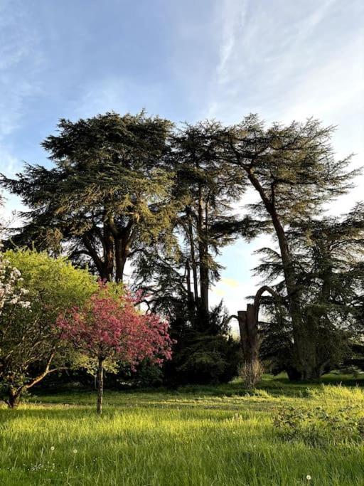 Pavillon Des Ecureuils Au Chateau Royal De Benays Benais Buitenkant foto